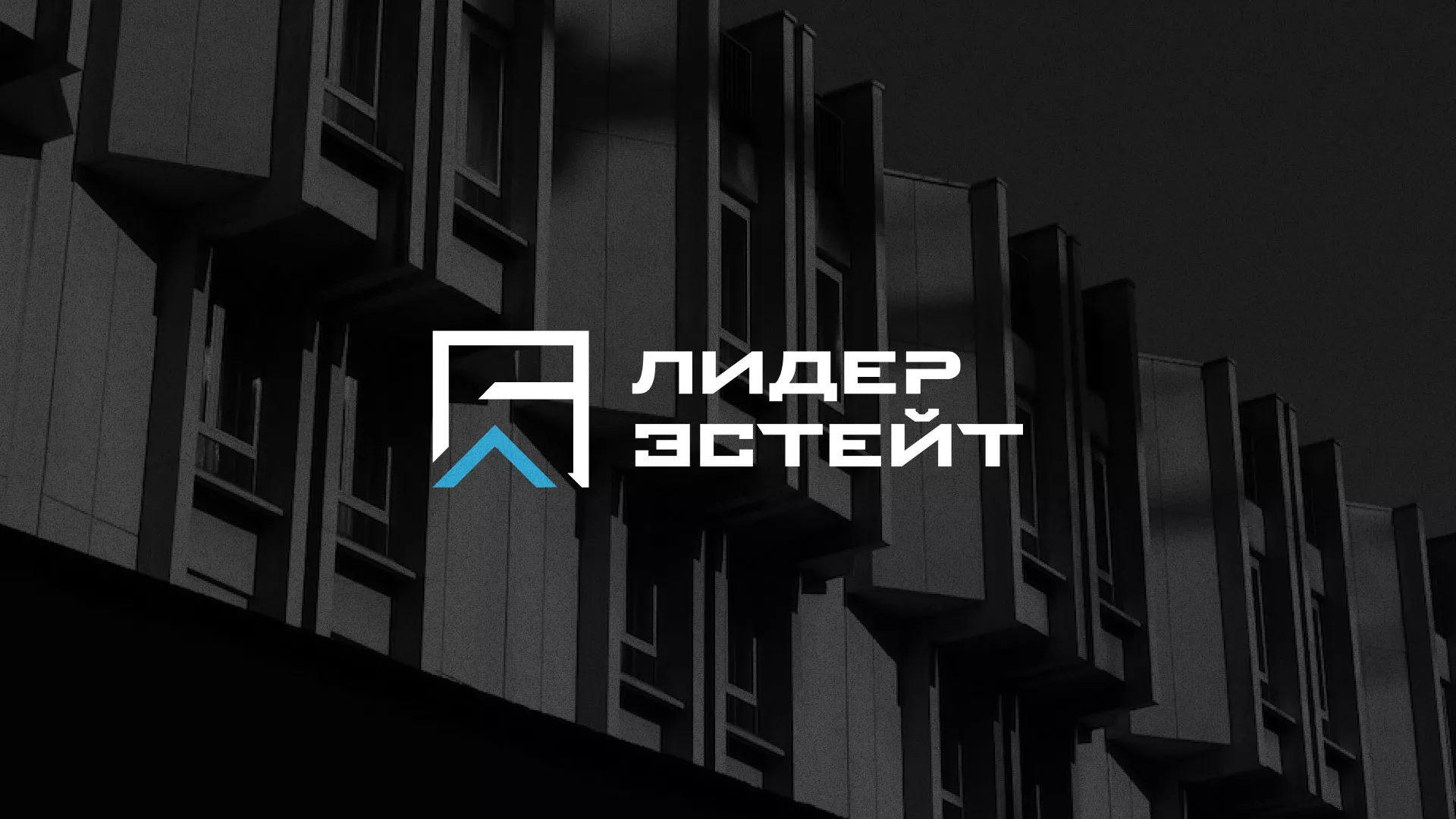 Разработка логотипа агентства недвижимости «Лидер Эстейт» в Белоярском